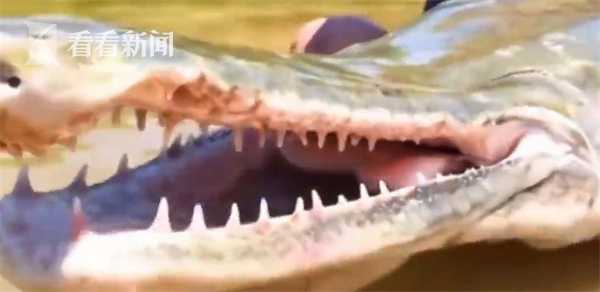 视频|河南汝州抽干湖水寻"怪鱼" 今天有望被捕捉到休闲区蓝鸢梦想 - Www.slyday.coM 视频|河南汝州抽干湖水寻"怪鱼" 今天有望被捕捉到休闲区蓝鸢梦想 - Www.slyday.coM