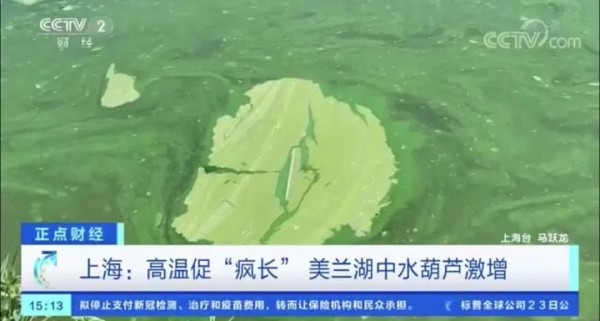 气温跳水!上海人都在操心30度穿啥?有人已戴上绒线帽!大闸蟹热瘦了!休闲区蓝鸢梦想 - Www.slyday.coM 气温跳水!上海人都在操心30度穿啥?有人已戴上绒线帽!大闸蟹热瘦了!休闲区蓝鸢梦想 - Www.slyday.coM