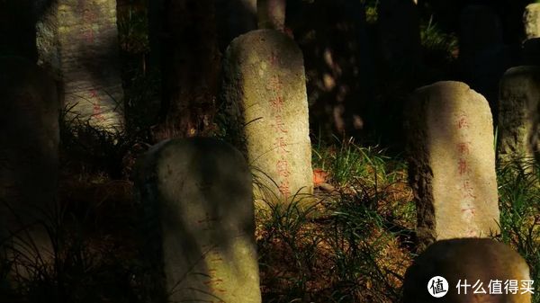 刚离开就想念的边陲小城,究竟有什么好的?休闲区蓝鸢梦想 - Www.slyday.coM 刚离开就想念的边陲小城,究竟有什么好的?休闲区蓝鸢梦想 - Www.slyday.coM