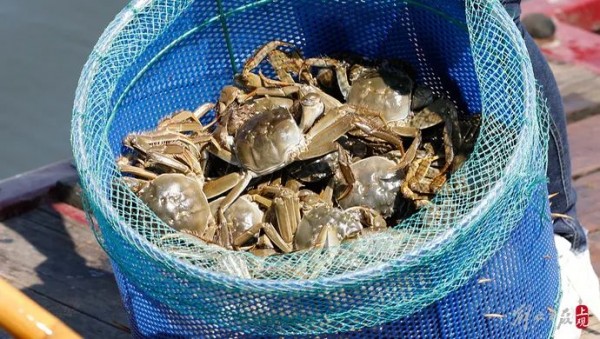 气温跳水!上海人都在操心30度穿啥?有人已戴上绒线帽!大闸蟹热瘦了!休闲区蓝鸢梦想 - Www.slyday.coM 气温跳水!上海人都在操心30度穿啥?有人已戴上绒线帽!大闸蟹热瘦了!休闲区蓝鸢梦想 - Www.slyday.coM