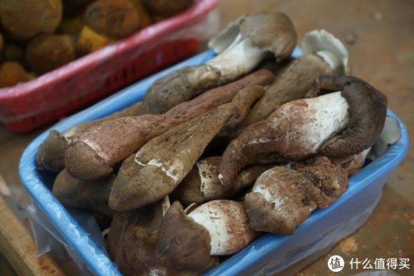 刚离开就想念的边陲小城,究竟有什么好的?休闲区蓝鸢梦想 - Www.slyday.coM 刚离开就想念的边陲小城,究竟有什么好的?休闲区蓝鸢梦想 - Www.slyday.coM