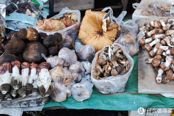 刚离开就想念的边陲小城,究竟有什么好的?休闲区蓝鸢梦想 - Www.slyday.coM 刚离开就想念的边陲小城,究竟有什么好的?休闲区蓝鸢梦想 - Www.slyday.coM