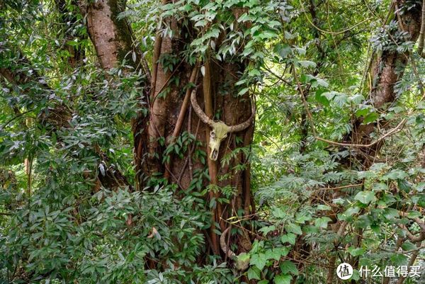 刚离开就想念的边陲小城,究竟有什么好的?休闲区蓝鸢梦想 - Www.slyday.coM 刚离开就想念的边陲小城,究竟有什么好的?休闲区蓝鸢梦想 - Www.slyday.coM