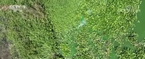 气温跳水!上海人都在操心30度穿啥?有人已戴上绒线帽!大闸蟹热瘦了!休闲区蓝鸢梦想 - Www.slyday.coM 气温跳水!上海人都在操心30度穿啥?有人已戴上绒线帽!大闸蟹热瘦了!休闲区蓝鸢梦想 - Www.slyday.coM