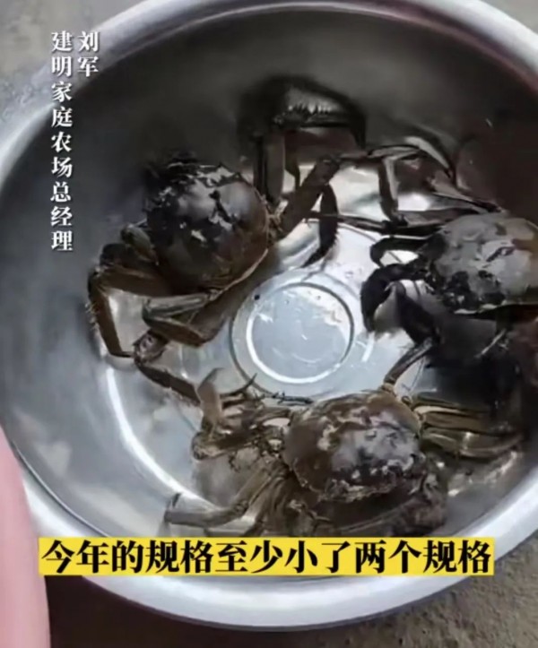 气温跳水!上海人都在操心30度穿啥?有人已戴上绒线帽!大闸蟹热瘦了!休闲区蓝鸢梦想 - Www.slyday.coM 气温跳水!上海人都在操心30度穿啥?有人已戴上绒线帽!大闸蟹热瘦了!休闲区蓝鸢梦想 - Www.slyday.coM