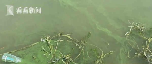 气温跳水!上海人都在操心30度穿啥?有人已戴上绒线帽!大闸蟹热瘦了!休闲区蓝鸢梦想 - Www.slyday.coM 气温跳水!上海人都在操心30度穿啥?有人已戴上绒线帽!大闸蟹热瘦了!休闲区蓝鸢梦想 - Www.slyday.coM