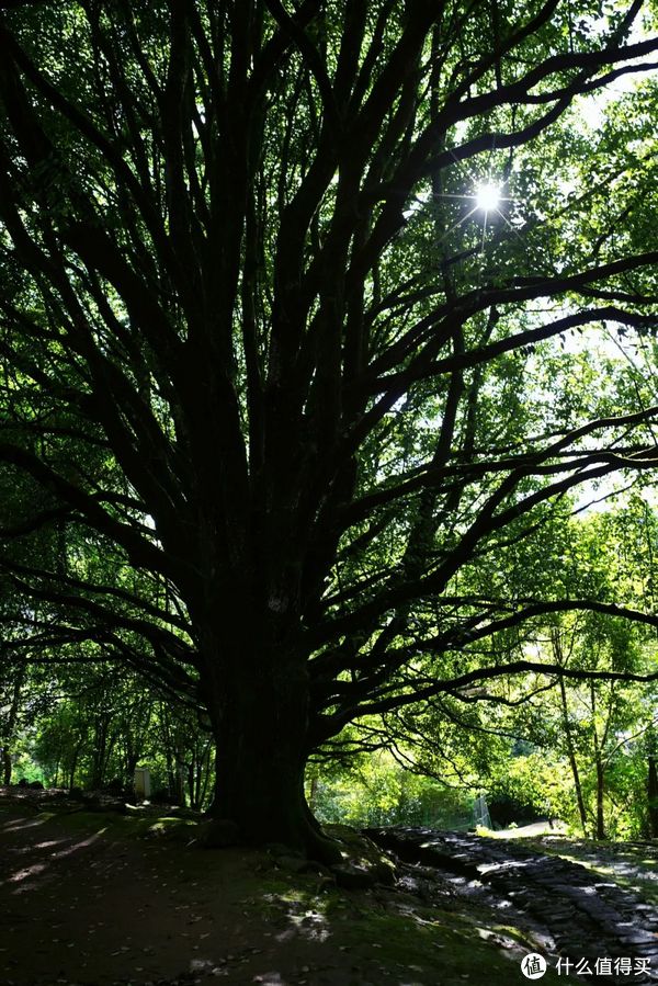 刚离开就想念的边陲小城,究竟有什么好的?休闲区蓝鸢梦想 - Www.slyday.coM 刚离开就想念的边陲小城,究竟有什么好的?休闲区蓝鸢梦想 - Www.slyday.coM