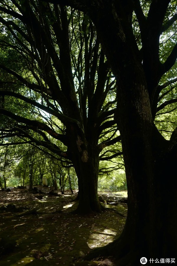 刚离开就想念的边陲小城,究竟有什么好的?休闲区蓝鸢梦想 - Www.slyday.coM 刚离开就想念的边陲小城,究竟有什么好的?休闲区蓝鸢梦想 - Www.slyday.coM