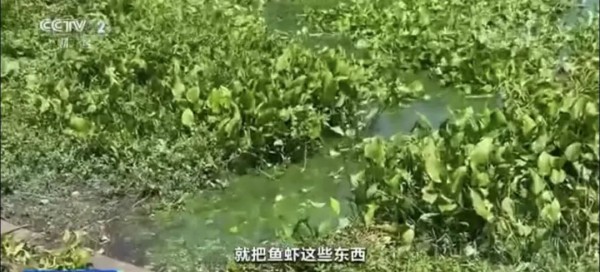 气温跳水!上海人都在操心30度穿啥?有人已戴上绒线帽!大闸蟹热瘦了!休闲区蓝鸢梦想 - Www.slyday.coM 气温跳水!上海人都在操心30度穿啥?有人已戴上绒线帽!大闸蟹热瘦了!休闲区蓝鸢梦想 - Www.slyday.coM