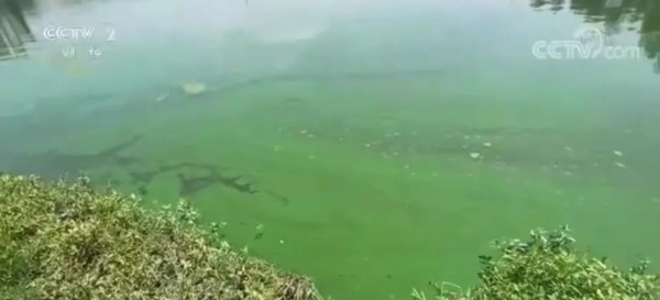 气温跳水!上海人都在操心30度穿啥?有人已戴上绒线帽!大闸蟹热瘦了!休闲区蓝鸢梦想 - Www.slyday.coM 气温跳水!上海人都在操心30度穿啥?有人已戴上绒线帽!大闸蟹热瘦了!休闲区蓝鸢梦想 - Www.slyday.coM