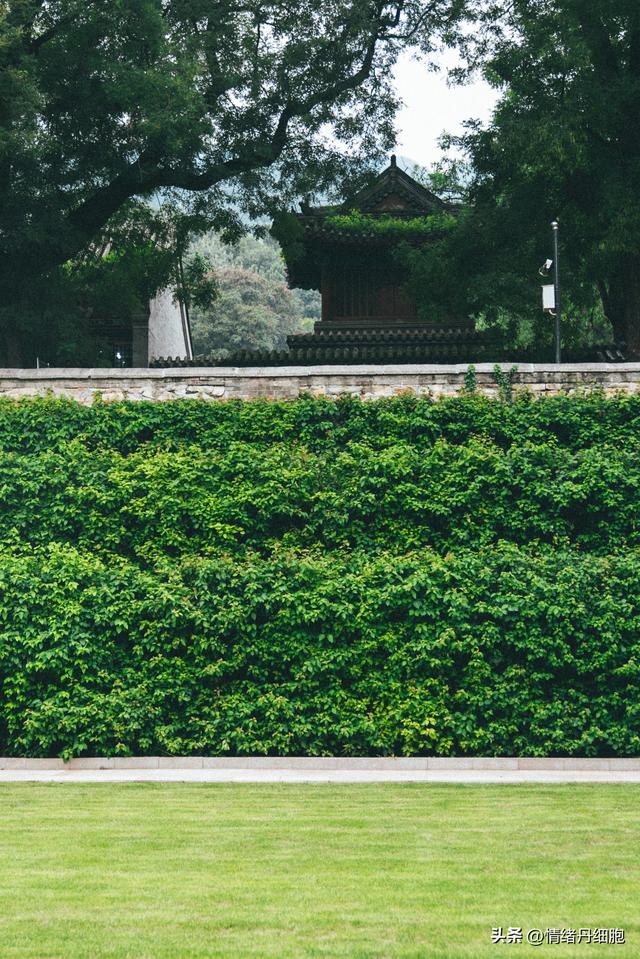 在北京不用爬山的景点|轻松登顶红螺寺,这样的旅行太喜欢了休闲区蓝鸢梦想 - Www.slyday.coM 在北京不用爬山的景点|轻松登顶红螺寺,这样的旅行太喜欢了休闲区蓝鸢梦想 - Www.slyday.coM