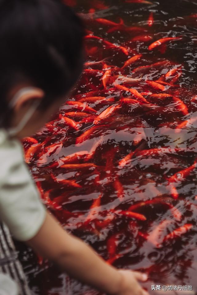 在北京不用爬山的景点|轻松登顶红螺寺,这样的旅行太喜欢了休闲区蓝鸢梦想 - Www.slyday.coM 在北京不用爬山的景点|轻松登顶红螺寺,这样的旅行太喜欢了休闲区蓝鸢梦想 - Www.slyday.coM