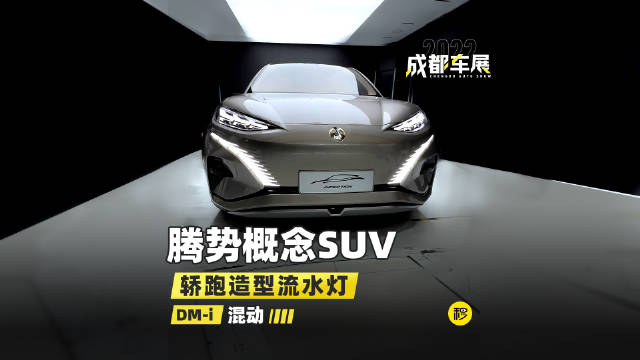 这波大师兄给大家带来的是腾势的一款概念车……