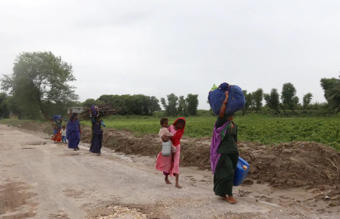 当地时间2022年8月25日，巴基斯坦Nawabshah，暴雨过后，洪水淹没了大部分道路。图源：澎湃影像