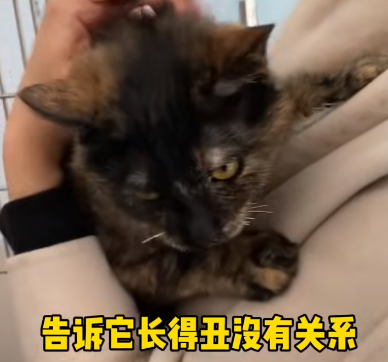 1aa1-7c73681d960991f64211e4bbc4ccf06a.png