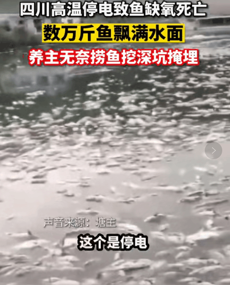 请不要再戏谑四川限电了休闲区蓝鸢梦想 - Www.slyday.coM 请不要再戏谑四川限电了休闲区蓝鸢梦想 - Www.slyday.coM