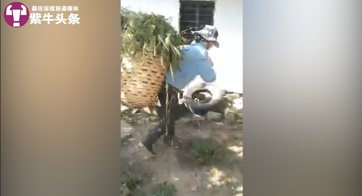 【紫牛头条】“考上大学就能见到我”!成为村里第一个大学生的女孩心愿终于实现了休闲区蓝鸢梦想 - Www.slyday.coM 【紫牛头条】“考上大学就能见到我”!成为村里第一个大学生的女孩心愿终于实现了休闲区蓝鸢梦想 - Www.slyday.coM