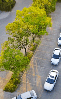 请不要再戏谑四川限电了休闲区蓝鸢梦想 - Www.slyday.coM 请不要再戏谑四川限电了休闲区蓝鸢梦想 - Www.slyday.coM