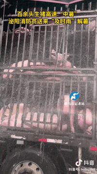 请不要再戏谑四川限电了休闲区蓝鸢梦想 - Www.slyday.coM 请不要再戏谑四川限电了休闲区蓝鸢梦想 - Www.slyday.coM