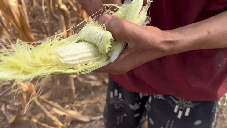 请不要再戏谑四川限电了休闲区蓝鸢梦想 - Www.slyday.coM 请不要再戏谑四川限电了休闲区蓝鸢梦想 - Www.slyday.coM