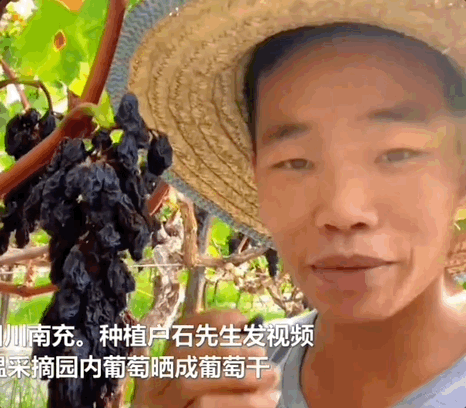 请不要再戏谑四川限电了休闲区蓝鸢梦想 - Www.slyday.coM 请不要再戏谑四川限电了休闲区蓝鸢梦想 - Www.slyday.coM