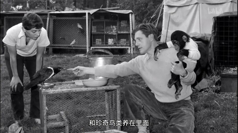 “我宁愿让猴子来教他知识!”10岁男孩妈妈狂怼校长,令人唏嘘!教育不是折服孩子,而是发现孩子休闲区蓝鸢梦想 - Www.slyday.coM “我宁愿让猴子来教他知识!”10岁男孩妈妈狂怼校长,令人唏嘘!教育不是折服孩子,而是发现孩子休闲区蓝鸢梦想 - Www.slyday.coM