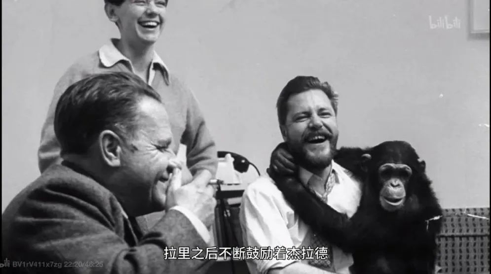 “我宁愿让猴子来教他知识!”10岁男孩妈妈狂怼校长,令人唏嘘!教育不是折服孩子,而是发现孩子休闲区蓝鸢梦想 - Www.slyday.coM “我宁愿让猴子来教他知识!”10岁男孩妈妈狂怼校长,令人唏嘘!教育不是折服孩子,而是发现孩子休闲区蓝鸢梦想 - Www.slyday.coM