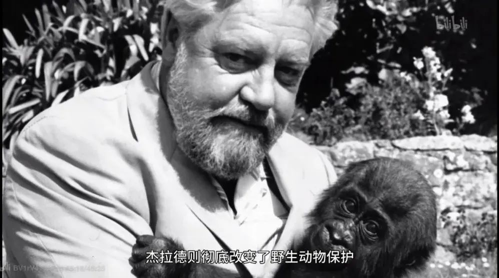 “我宁愿让猴子来教他知识!”10岁男孩妈妈狂怼校长,令人唏嘘!教育不是折服孩子,而是发现孩子休闲区蓝鸢梦想 - Www.slyday.coM “我宁愿让猴子来教他知识!”10岁男孩妈妈狂怼校长,令人唏嘘!教育不是折服孩子,而是发现孩子休闲区蓝鸢梦想 - Www.slyday.coM