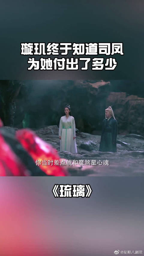 璇玑才知道司凤为她到底做了多少