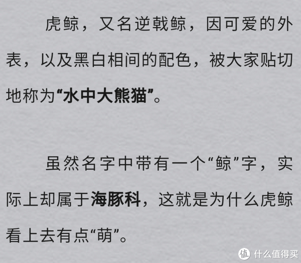 海中大熊猫/水下小张飞/顶级猎手/虎鲸剧场/海豚类物种中的最大码号/上海海昌海洋公园记录攻略游记/再不看以后可能就没有了休闲区蓝鸢梦想 - Www.slyday.coM 海中大熊猫/水下小张飞/顶级猎手/虎鲸剧场/海豚类物种中的最大码号/上海海昌海洋公园记录攻略游记/再不看以后可能就没有了休闲区蓝鸢梦想 - Www.slyday.coM