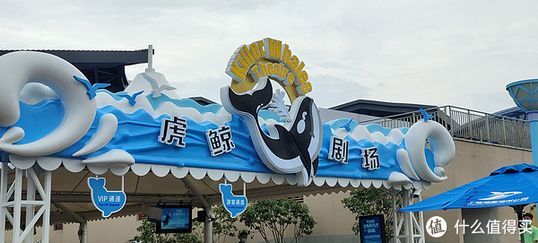 海中大熊猫/水下小张飞/顶级猎手/虎鲸剧场/海豚类物种中的最大码号/上海海昌海洋公园记录攻略游记/再不看以后可能就没有了休闲区蓝鸢梦想 - Www.slyday.coM 海中大熊猫/水下小张飞/顶级猎手/虎鲸剧场/海豚类物种中的最大码号/上海海昌海洋公园记录攻略游记/再不看以后可能就没有了休闲区蓝鸢梦想 - Www.slyday.coM