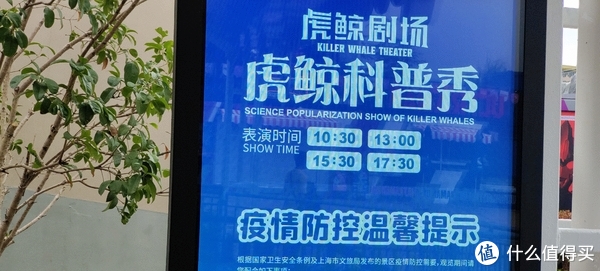 海中大熊猫/水下小张飞/顶级猎手/虎鲸剧场/海豚类物种中的最大码号/上海海昌海洋公园记录攻略游记/再不看以后可能就没有了休闲区蓝鸢梦想 - Www.slyday.coM 海中大熊猫/水下小张飞/顶级猎手/虎鲸剧场/海豚类物种中的最大码号/上海海昌海洋公园记录攻略游记/再不看以后可能就没有了休闲区蓝鸢梦想 - Www.slyday.coM