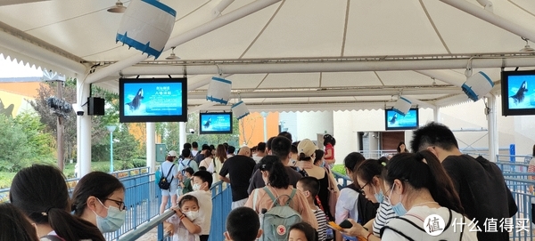 海中大熊猫/水下小张飞/顶级猎手/虎鲸剧场/海豚类物种中的最大码号/上海海昌海洋公园记录攻略游记/再不看以后可能就没有了休闲区蓝鸢梦想 - Www.slyday.coM 海中大熊猫/水下小张飞/顶级猎手/虎鲸剧场/海豚类物种中的最大码号/上海海昌海洋公园记录攻略游记/再不看以后可能就没有了休闲区蓝鸢梦想 - Www.slyday.coM