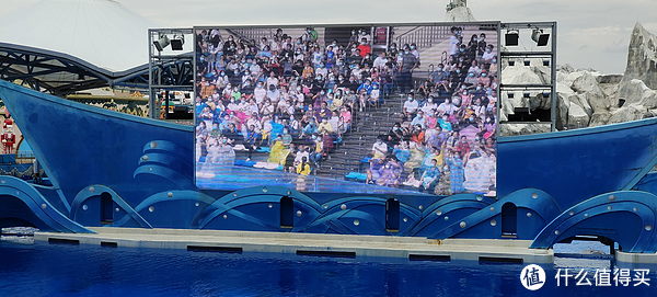 海中大熊猫/水下小张飞/顶级猎手/虎鲸剧场/海豚类物种中的最大码号/上海海昌海洋公园记录攻略游记/再不看以后可能就没有了休闲区蓝鸢梦想 - Www.slyday.coM 海中大熊猫/水下小张飞/顶级猎手/虎鲸剧场/海豚类物种中的最大码号/上海海昌海洋公园记录攻略游记/再不看以后可能就没有了休闲区蓝鸢梦想 - Www.slyday.coM