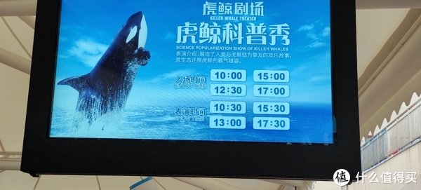 海中大熊猫/水下小张飞/顶级猎手/虎鲸剧场/海豚类物种中的最大码号/上海海昌海洋公园记录攻略游记/再不看以后可能就没有了休闲区蓝鸢梦想 - Www.slyday.coM 海中大熊猫/水下小张飞/顶级猎手/虎鲸剧场/海豚类物种中的最大码号/上海海昌海洋公园记录攻略游记/再不看以后可能就没有了休闲区蓝鸢梦想 - Www.slyday.coM