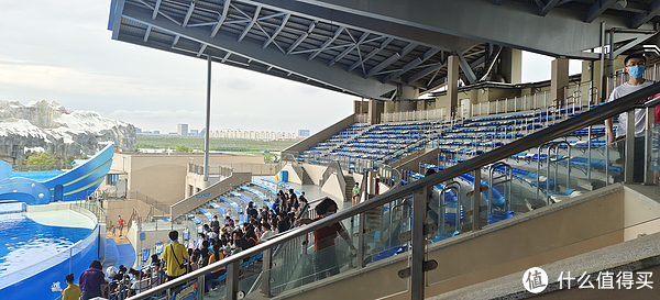 海中大熊猫/水下小张飞/顶级猎手/虎鲸剧场/海豚类物种中的最大码号/上海海昌海洋公园记录攻略游记/再不看以后可能就没有了休闲区蓝鸢梦想 - Www.slyday.coM 海中大熊猫/水下小张飞/顶级猎手/虎鲸剧场/海豚类物种中的最大码号/上海海昌海洋公园记录攻略游记/再不看以后可能就没有了休闲区蓝鸢梦想 - Www.slyday.coM