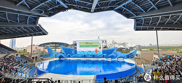海中大熊猫/水下小张飞/顶级猎手/虎鲸剧场/海豚类物种中的最大码号/上海海昌海洋公园记录攻略游记/再不看以后可能就没有了休闲区蓝鸢梦想 - Www.slyday.coM 海中大熊猫/水下小张飞/顶级猎手/虎鲸剧场/海豚类物种中的最大码号/上海海昌海洋公园记录攻略游记/再不看以后可能就没有了休闲区蓝鸢梦想 - Www.slyday.coM