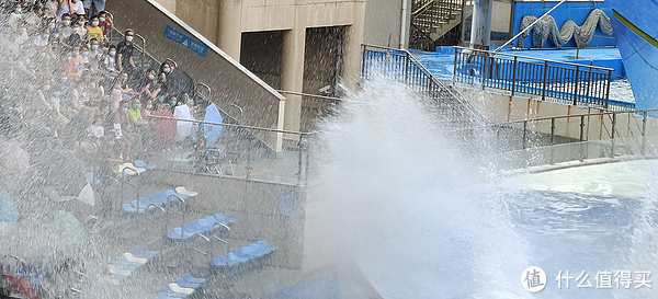 海中大熊猫/水下小张飞/顶级猎手/虎鲸剧场/海豚类物种中的最大码号/上海海昌海洋公园记录攻略游记/再不看以后可能就没有了休闲区蓝鸢梦想 - Www.slyday.coM 海中大熊猫/水下小张飞/顶级猎手/虎鲸剧场/海豚类物种中的最大码号/上海海昌海洋公园记录攻略游记/再不看以后可能就没有了休闲区蓝鸢梦想 - Www.slyday.coM