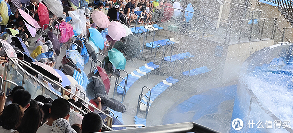 海中大熊猫/水下小张飞/顶级猎手/虎鲸剧场/海豚类物种中的最大码号/上海海昌海洋公园记录攻略游记/再不看以后可能就没有了休闲区蓝鸢梦想 - Www.slyday.coM 海中大熊猫/水下小张飞/顶级猎手/虎鲸剧场/海豚类物种中的最大码号/上海海昌海洋公园记录攻略游记/再不看以后可能就没有了休闲区蓝鸢梦想 - Www.slyday.coM