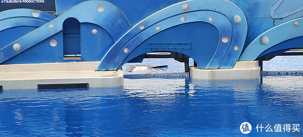 海中大熊猫/水下小张飞/顶级猎手/虎鲸剧场/海豚类物种中的最大码号/上海海昌海洋公园记录攻略游记/再不看以后可能就没有了休闲区蓝鸢梦想 - Www.slyday.coM 海中大熊猫/水下小张飞/顶级猎手/虎鲸剧场/海豚类物种中的最大码号/上海海昌海洋公园记录攻略游记/再不看以后可能就没有了休闲区蓝鸢梦想 - Www.slyday.coM