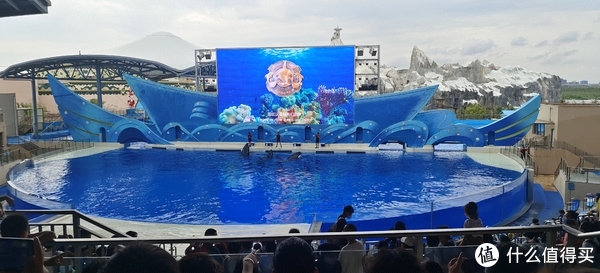 海中大熊猫/水下小张飞/顶级猎手/虎鲸剧场/海豚类物种中的最大码号/上海海昌海洋公园记录攻略游记/再不看以后可能就没有了休闲区蓝鸢梦想 - Www.slyday.coM 海中大熊猫/水下小张飞/顶级猎手/虎鲸剧场/海豚类物种中的最大码号/上海海昌海洋公园记录攻略游记/再不看以后可能就没有了休闲区蓝鸢梦想 - Www.slyday.coM