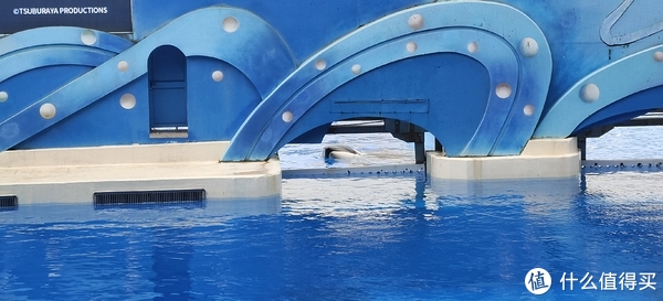 海中大熊猫/水下小张飞/顶级猎手/虎鲸剧场/海豚类物种中的最大码号/上海海昌海洋公园记录攻略游记/再不看以后可能就没有了休闲区蓝鸢梦想 - Www.slyday.coM 海中大熊猫/水下小张飞/顶级猎手/虎鲸剧场/海豚类物种中的最大码号/上海海昌海洋公园记录攻略游记/再不看以后可能就没有了休闲区蓝鸢梦想 - Www.slyday.coM