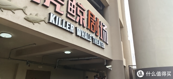 海中大熊猫/水下小张飞/顶级猎手/虎鲸剧场/海豚类物种中的最大码号/上海海昌海洋公园记录攻略游记/再不看以后可能就没有了休闲区蓝鸢梦想 - Www.slyday.coM 海中大熊猫/水下小张飞/顶级猎手/虎鲸剧场/海豚类物种中的最大码号/上海海昌海洋公园记录攻略游记/再不看以后可能就没有了休闲区蓝鸢梦想 - Www.slyday.coM