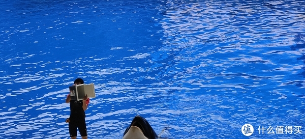 海中大熊猫/水下小张飞/顶级猎手/虎鲸剧场/海豚类物种中的最大码号/上海海昌海洋公园记录攻略游记/再不看以后可能就没有了休闲区蓝鸢梦想 - Www.slyday.coM 海中大熊猫/水下小张飞/顶级猎手/虎鲸剧场/海豚类物种中的最大码号/上海海昌海洋公园记录攻略游记/再不看以后可能就没有了休闲区蓝鸢梦想 - Www.slyday.coM