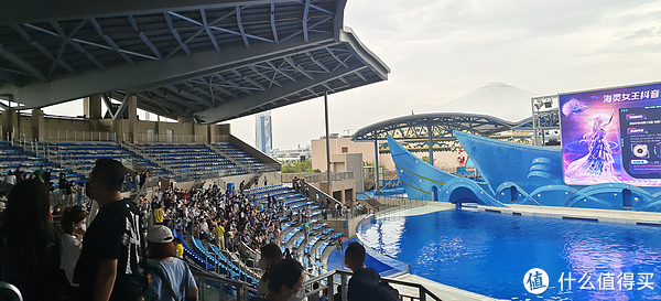 海中大熊猫/水下小张飞/顶级猎手/虎鲸剧场/海豚类物种中的最大码号/上海海昌海洋公园记录攻略游记/再不看以后可能就没有了休闲区蓝鸢梦想 - Www.slyday.coM 海中大熊猫/水下小张飞/顶级猎手/虎鲸剧场/海豚类物种中的最大码号/上海海昌海洋公园记录攻略游记/再不看以后可能就没有了休闲区蓝鸢梦想 - Www.slyday.coM