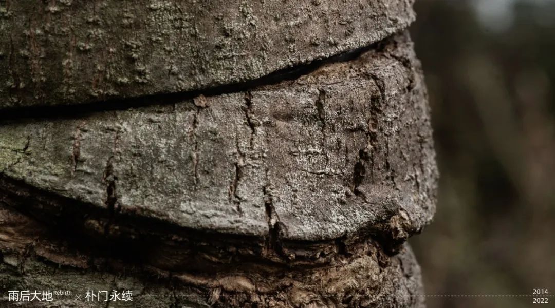 9年朴门实践休闲区蓝鸢梦想 - Www.slyday.coM 9年朴门实践休闲区蓝鸢梦想 - Www.slyday.coM