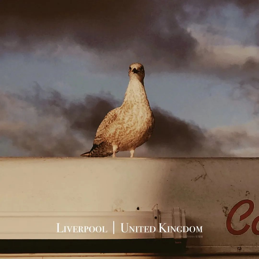 中国90后小伙用着6年前的iPhone,拍出令人赞叹的旅行大片!休闲区蓝鸢梦想 - Www.slyday.coM 中国90后小伙用着6年前的iPhone,拍出令人赞叹的旅行大片!休闲区蓝鸢梦想 - Www.slyday.coM