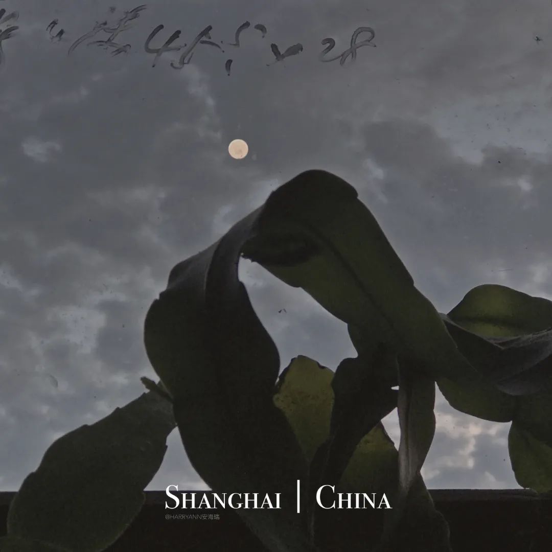 中国90后小伙用着6年前的iPhone,拍出令人赞叹的旅行大片!休闲区蓝鸢梦想 - Www.slyday.coM 中国90后小伙用着6年前的iPhone,拍出令人赞叹的旅行大片!休闲区蓝鸢梦想 - Www.slyday.coM