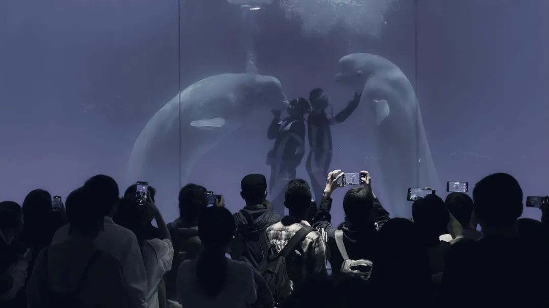 中国90后小伙用着6年前的iPhone,拍出令人赞叹的旅行大片!休闲区蓝鸢梦想 - Www.slyday.coM 中国90后小伙用着6年前的iPhone,拍出令人赞叹的旅行大片!休闲区蓝鸢梦想 - Www.slyday.coM