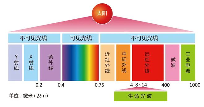 夏季“美腿杀手”静脉曲张该如何预防和治疗？听听御方堂在中医专家怎么说